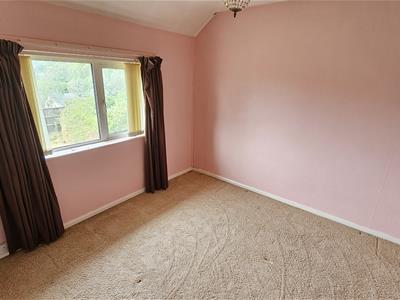 Picture 24